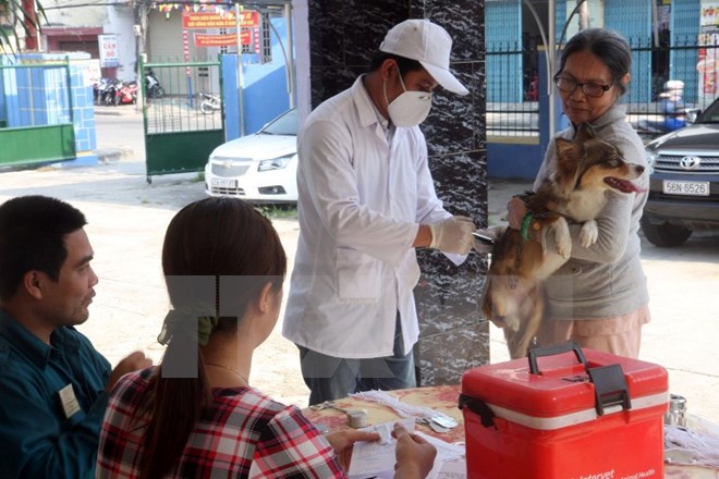 49 trường hợp tử vong vì bệnh dại tại 20 tỉnh, thành phố