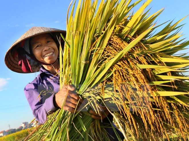 Công bố danh sách 63 gương nông dân Việt Nam xuất sắc năm 2016