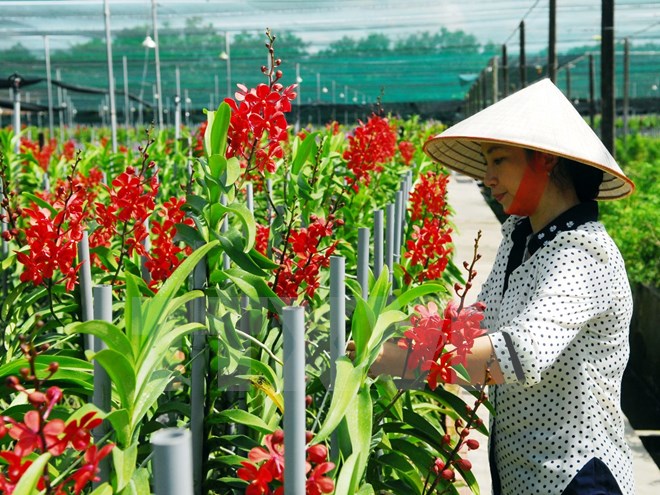 Công bố danh sách 63 gương nông dân Việt Nam xuất sắc năm 2016
