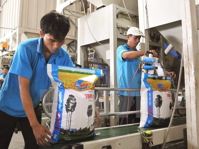 Chọn giống lúa thương hiệu quốc gia để tìm ra gạo Việt ngon