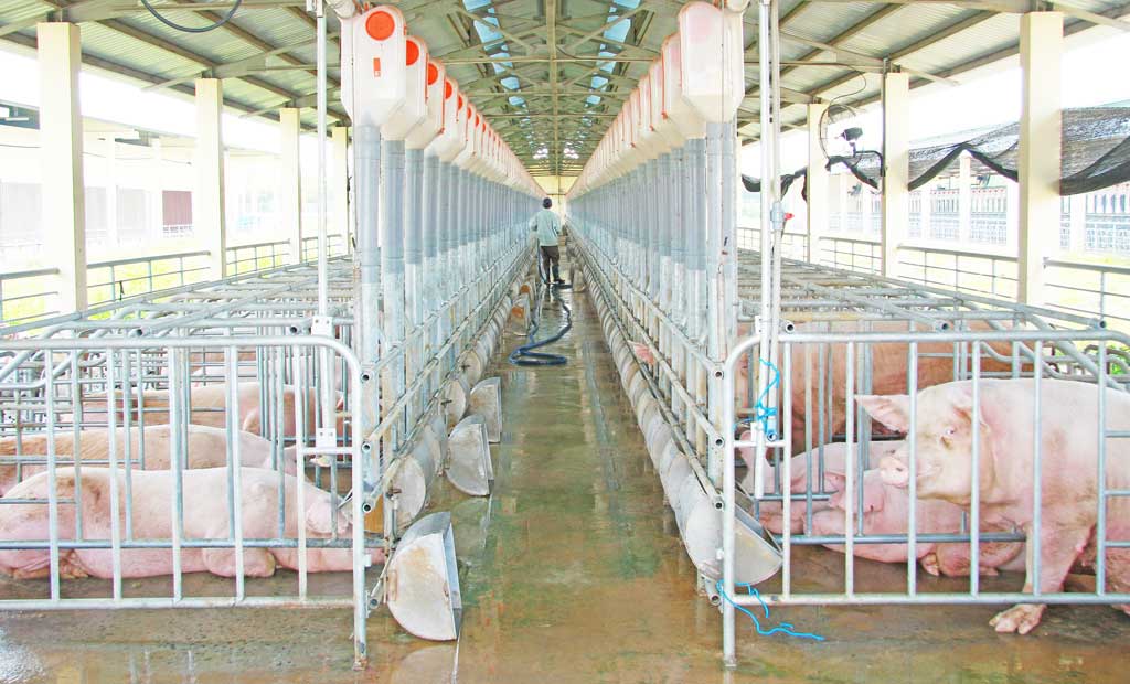 Long An đầu tư phát triển nông nghiệp công nghệ cao