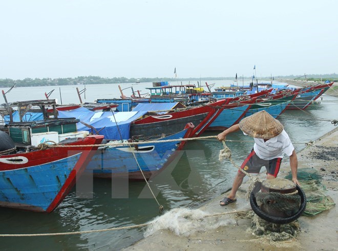 Các tỉnh miền Trung tập trung ứng phó với áp thấp và mưa lũ