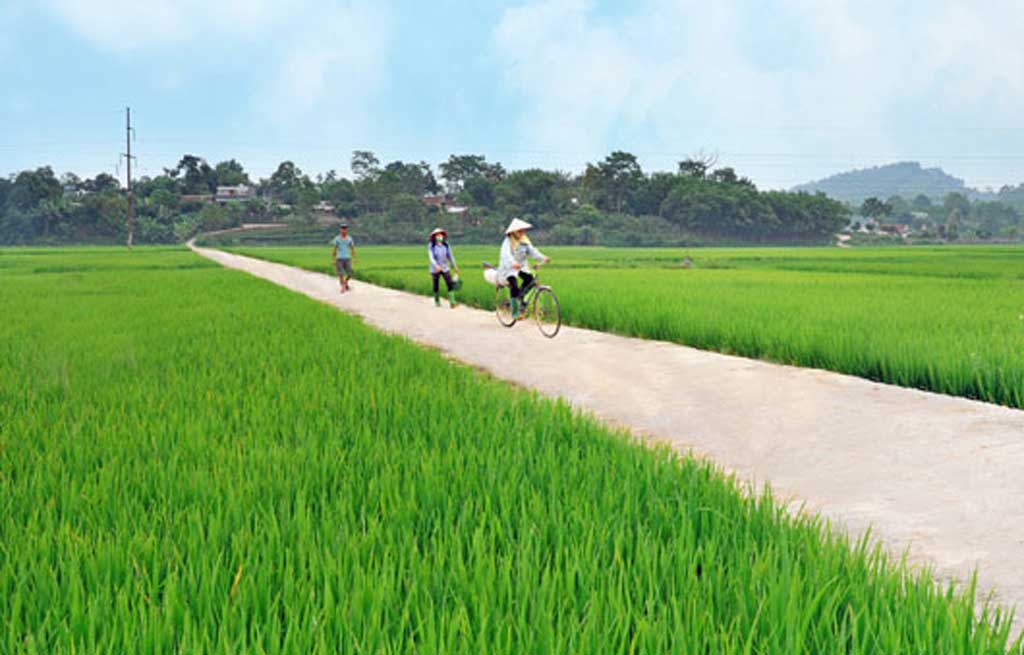 Bộ tiêu chí quốc gia về xã nông thôn mới giai đoạn 2016-2020