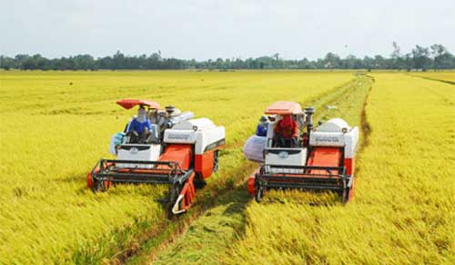 Bộ tiêu chí quốc gia về xã nông thôn mới giai đoạn 2016-2020