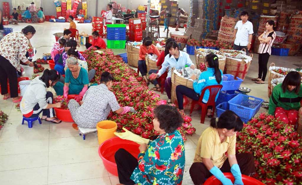 Bộ tiêu chí quốc gia về xã nông thôn mới giai đoạn 2016-2020