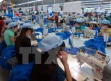 Hơn 5.000 dòng thuế về 0% khi FTA Việt Nam-EAEU có hiệu lực