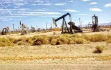 Giá dầu phục hồi khi OPEC tái khẳng định cắt giảm sản lượng