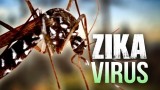 Chủ động cắt nguồn lây truyền virus Zika từ muỗi tại VũngTàu