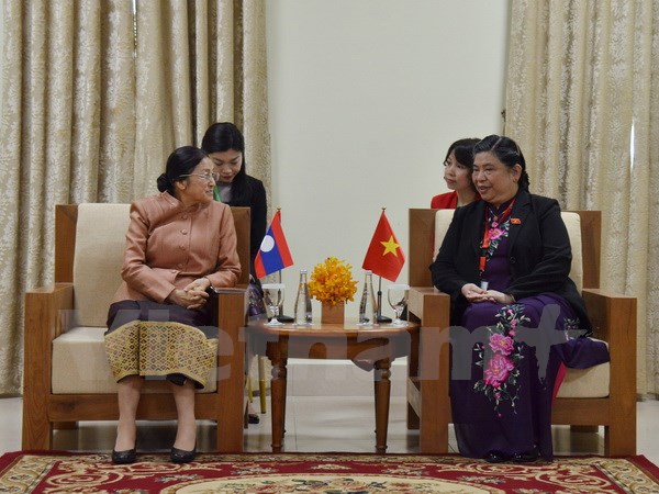 Phó Chủ tịch Quốc hội Tòng Thị Phóng tham dự Hội nghị APA-9