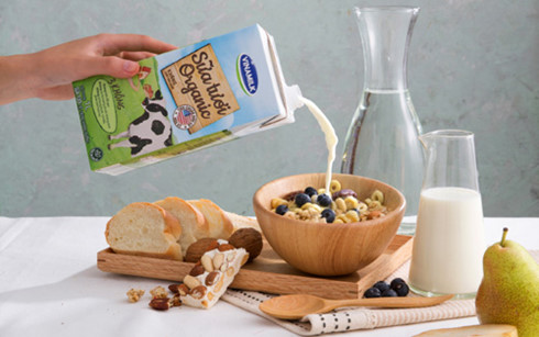 Trang trại bò sữa organic đầu tiên tại Việt Nam đạt chuẩn quốc tế