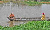 Đánh bắt thủy sản bằng xung điện và cái chết được báo trước