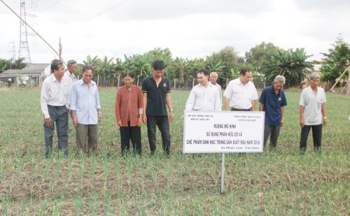 Long An: Quy hoạch vùng nông nghiệp ứng dụng công nghệ cao huyện Cần Giuộc