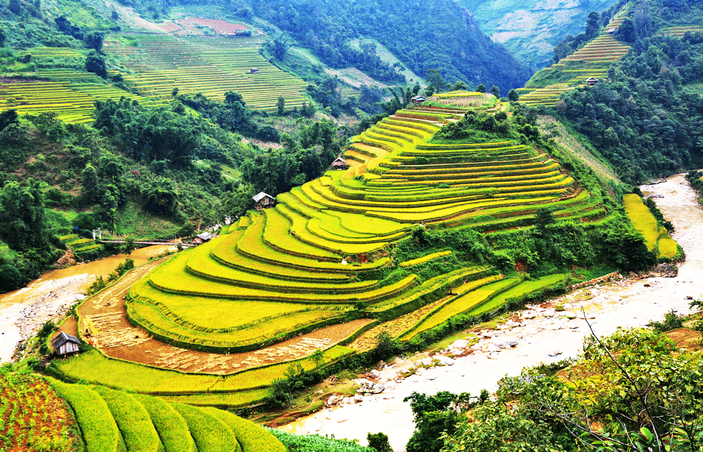 Ruộng bậc thang hình mũi giày