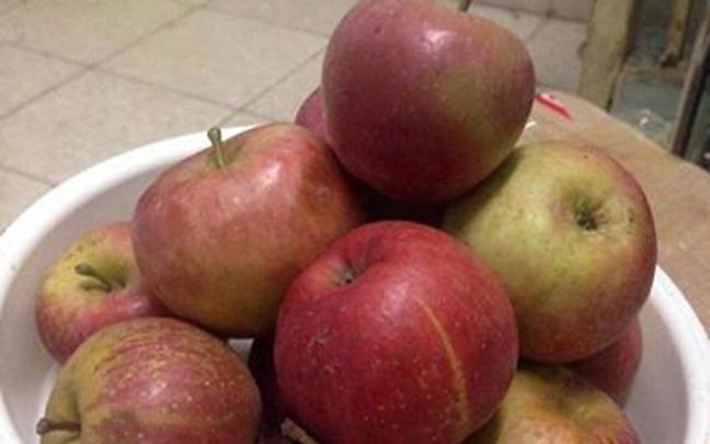 'Đặc sản Việt' gốc Tàu: Cú lừa thập kỷ, ta tự hại mình