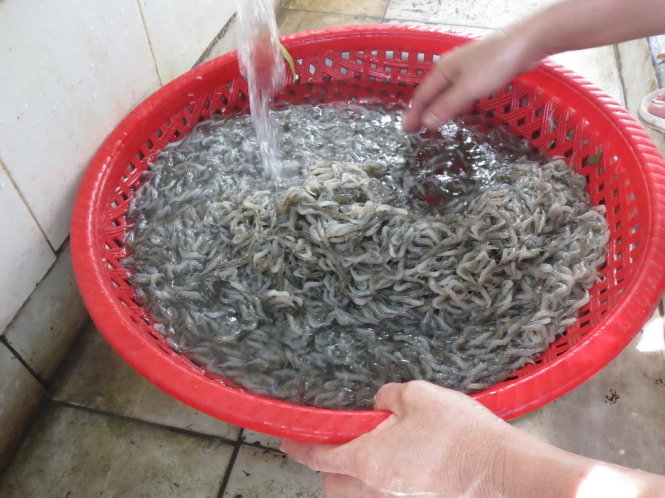 Món quê tép trấu thành món hảo hạng nhà hàng