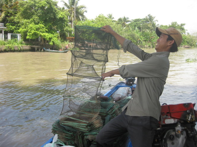 Món quê tép trấu thành món hảo hạng nhà hàng