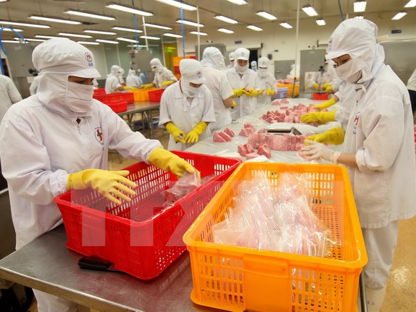 Doanh nghiệp Việt mất hàng triệu USD từ rủi ro thương mại quốc tế