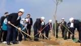 Chủ tịch nước phát động Tết trồng cây 2017 tại Quảng Ninh