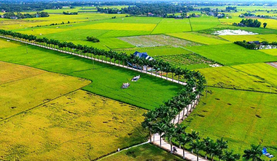 90000 ảnh đẹp nhất về Nông Thôn Tải xuống miễn phí 100 Ảnh có sẵn của Pexels #26 90000 ảnh đẹp nhất về Nông Thôn Tải xuống miễn phí 100 Ảnh có sẵn của Pexels