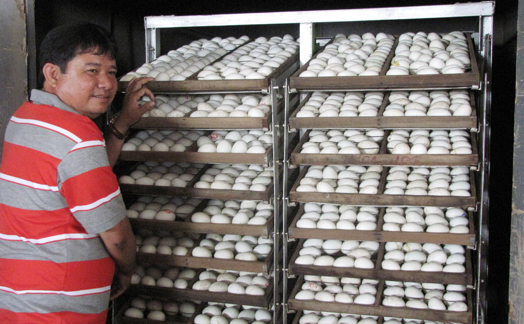 Nguồn vốn tín dụng: “Trợ thủ” đắc lực phát triển kinh tế gia đình