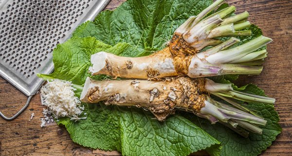 10 loại thảo mộc mạnh hơn cả thuốc kháng sinh