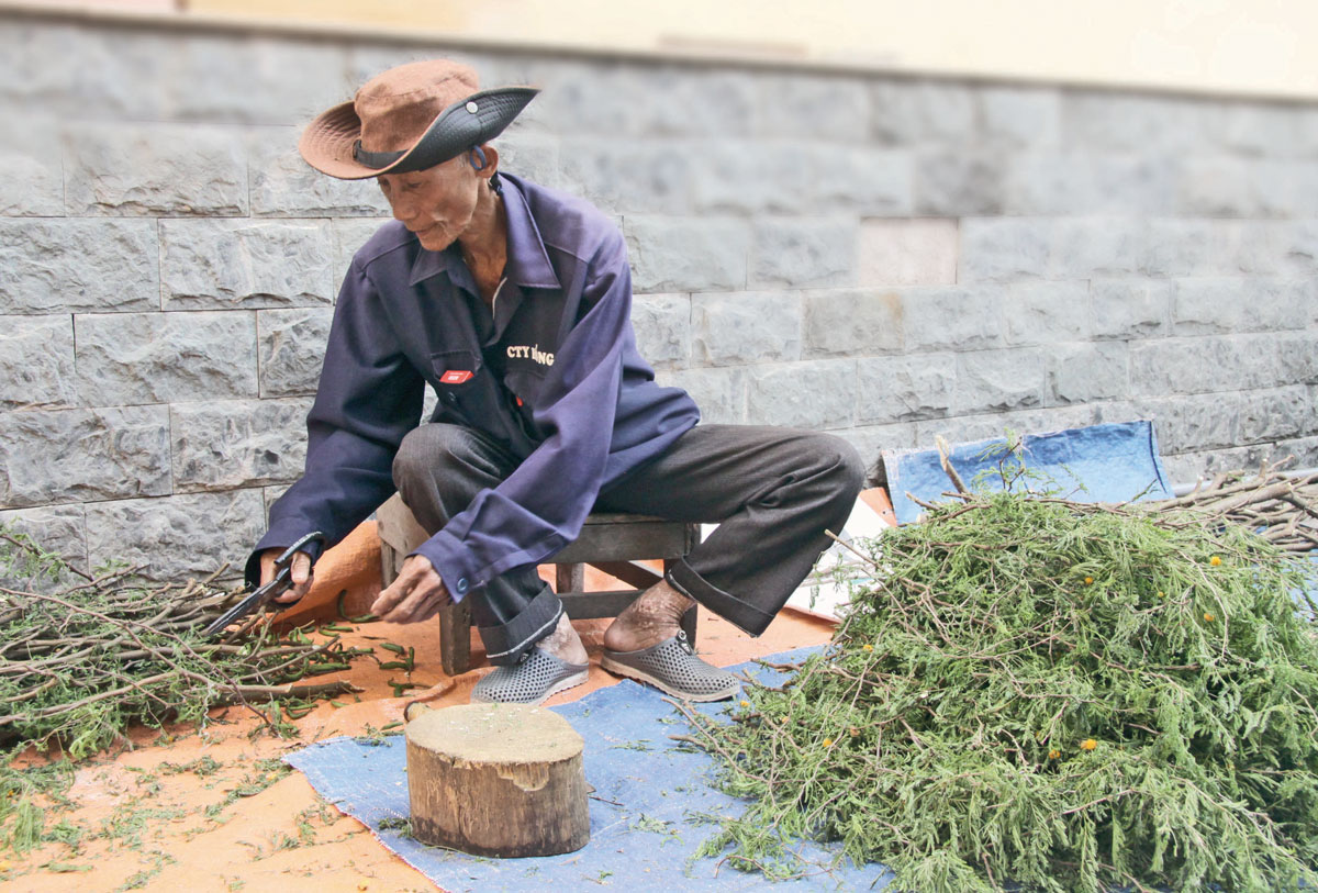 Đẹp biết bao những thầy thuốc với tấm lòng thiện nguyện