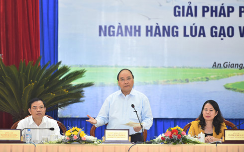 Thủ tướng: “Hội nghị không để vỗ tay mà bàn phát triển ngành lúa gạo“
