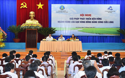 Thủ tướng: “Hội nghị không để vỗ tay mà bàn phát triển ngành lúa gạo“