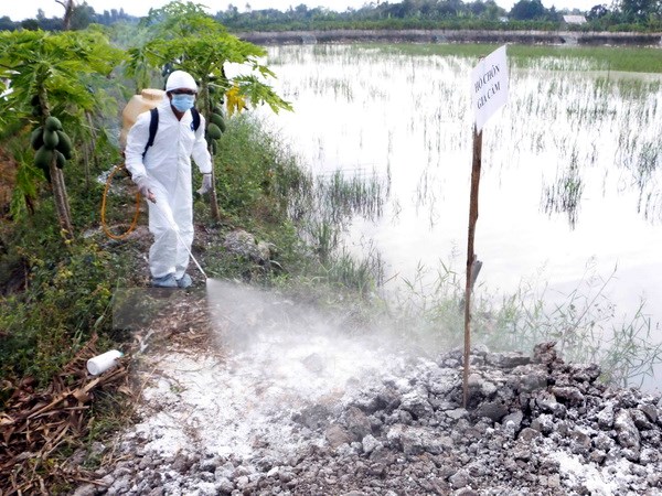 Tập trung phòng chống virus cúm gia cầm có khả năng lây sang người