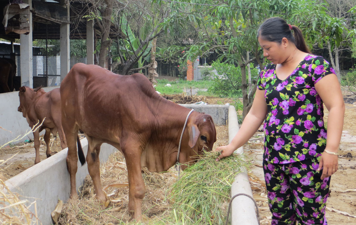 Khi phụ nữ làm kinh tế