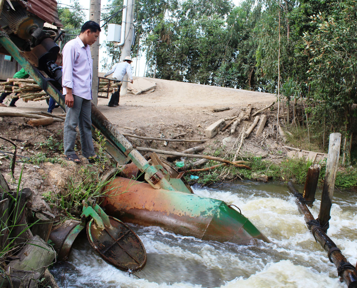 Tân Thạnh: Khởi sắc ở vùng lúa chất lượng cao