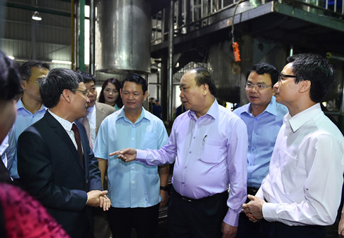 Thủ tướng chủ trì hội nghị bàn giải pháp phát triển dược liệu Việt Nam