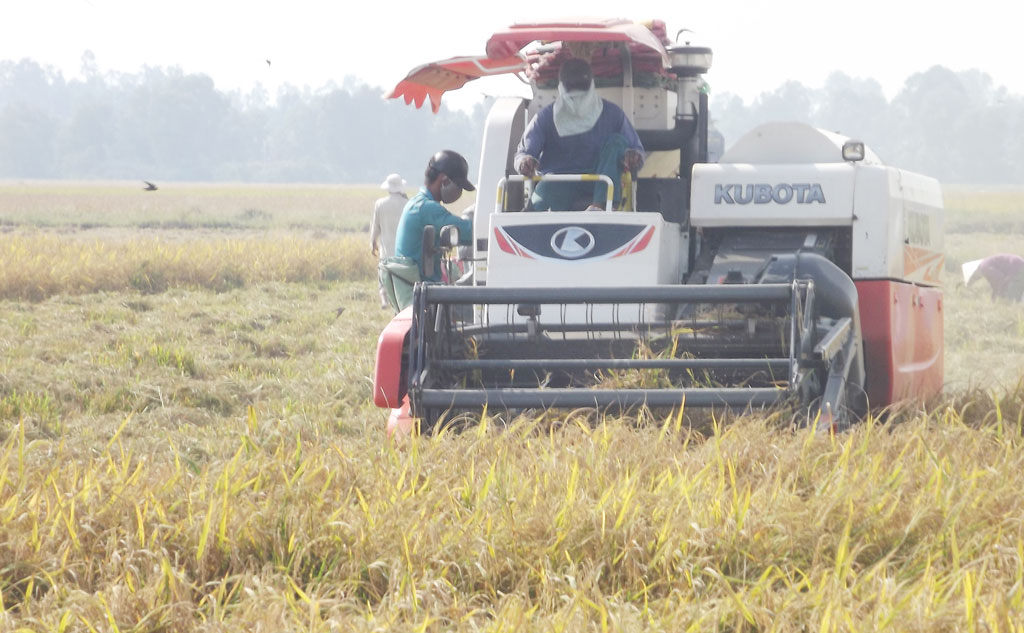 Phát triển nông nghiệp ứng dụng công nghệ cao còn nhiều khó khăn