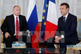 Tổng thống Nga Vladimir Putin bác cáo buộc can thiệp bầu cử Pháp