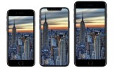 iPhone 8 sẽ to hơn iPhone 7 nhưng nhỏ hơn iPhone 7 Plus?