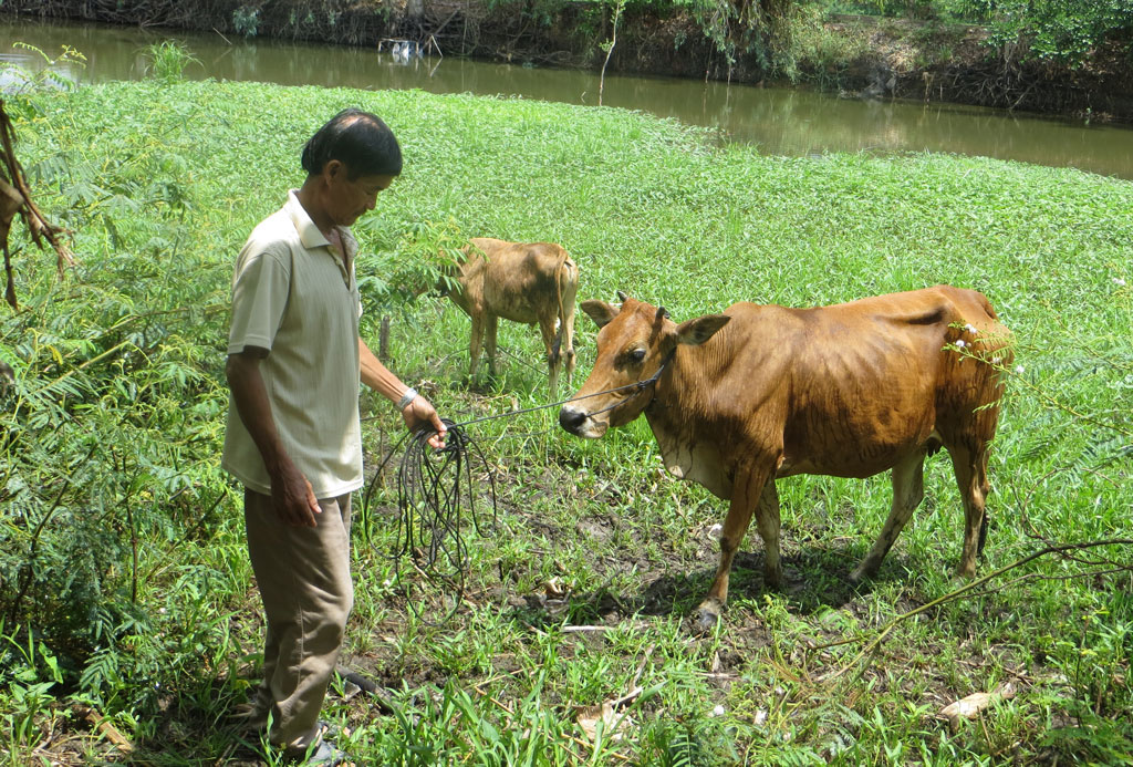 Hiệu quả thiết thực từ việc học tập và làm theo gương Bác