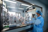 Trung Quốc phát hiện thêm ca nhiễm virus H7N9 giáp giới Việt Nam
