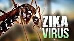 Cần Đước: Phát hiện 1  trường hợp nhiễm virus Zika