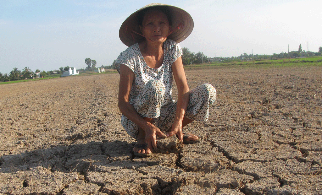 Đề nghị hủy bản án tuyên xử vụ lấp đường nước làm gần 5ha đất lúa màu mỡ phải bỏ hoang