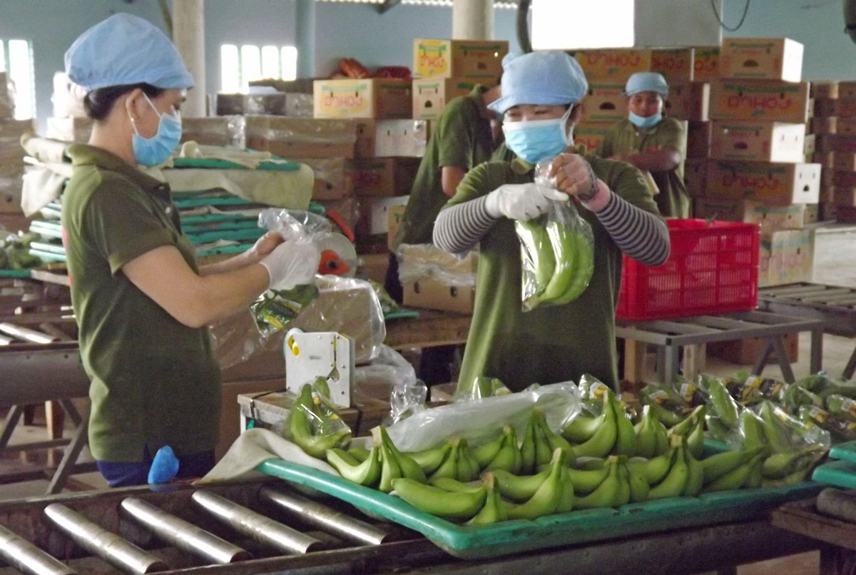 Biểu dương những điển hình tiên tiến