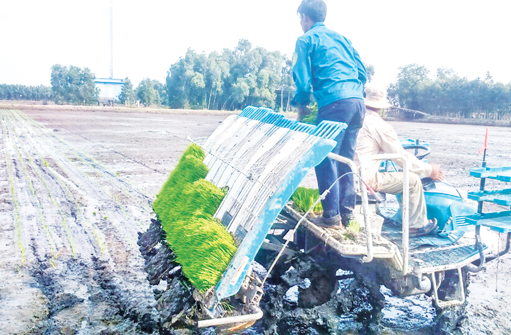 Phát triển Nông nghiệp ứng dụng công nghệ cao gắn với tái cơ cấu ngành: Bước đầu đạt kết quả khả quan