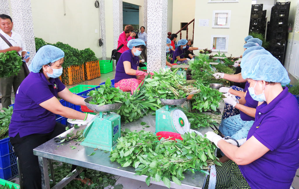 Long An-TP.HCM ký kết phối hợp sản xuất, kinh doanh và tiêu thụ nông sản bảo đảm an toàn thực phẩm
