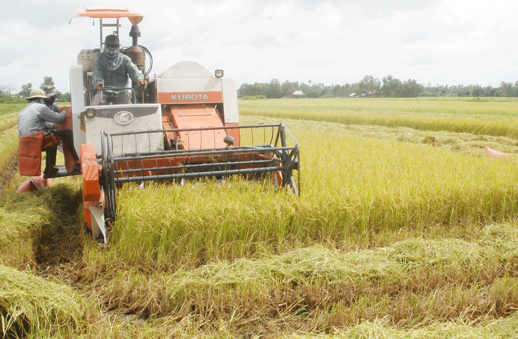 Đức Huệ: Tập trung phát triển nông nghiệp ứng dụng công nghệ cao gắn với tái cơ cấu ngành