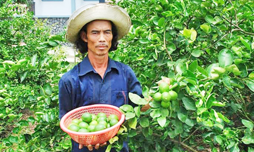 Bài 2: Muốn sản xuất hiệu quả, cần có sự liên kết tiêu thụ