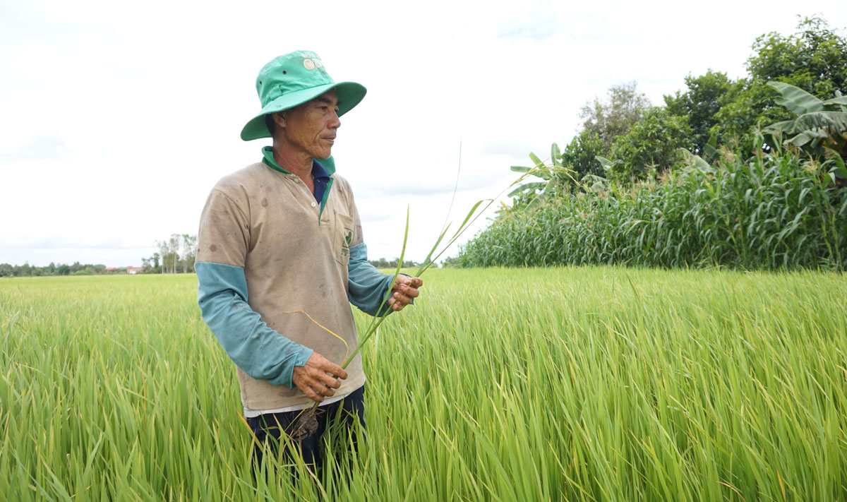 Tân Tây tập trung nâng chất nông thôn mới