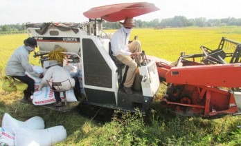 Doanh nghiệp đầu tư vào công nghệ và thiết bị chế biến lúa gạo được hỗ trợ vay vốn VnSAT