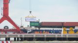 Cảng Quốc tế Long An xuất cảng lô hàng thịt gà sạch đầu tiên của Việt Nam sang thị trường Nhật Bản