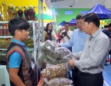 Phiên chợ Sâm Ngọc Linh lần đầu tiên được tổ chức tại Quảng Nam