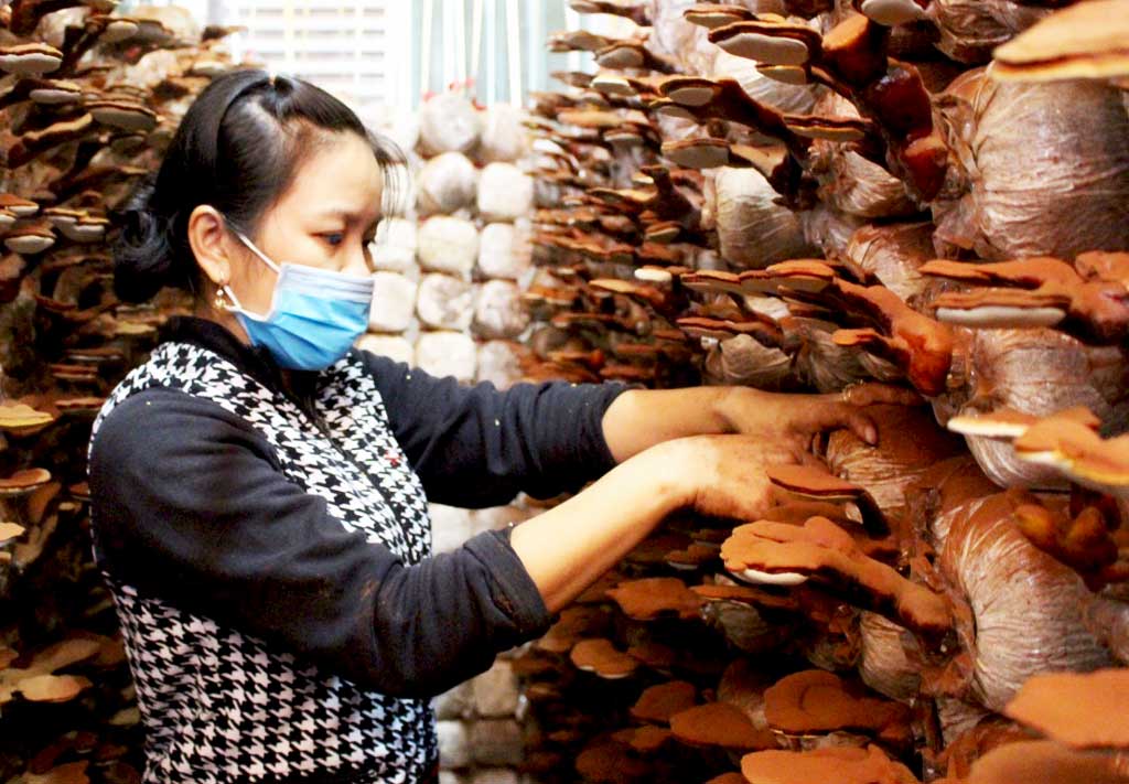 Báo Đà Nẵng điện tử