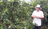 Bí thư chi bộ gương mẫu